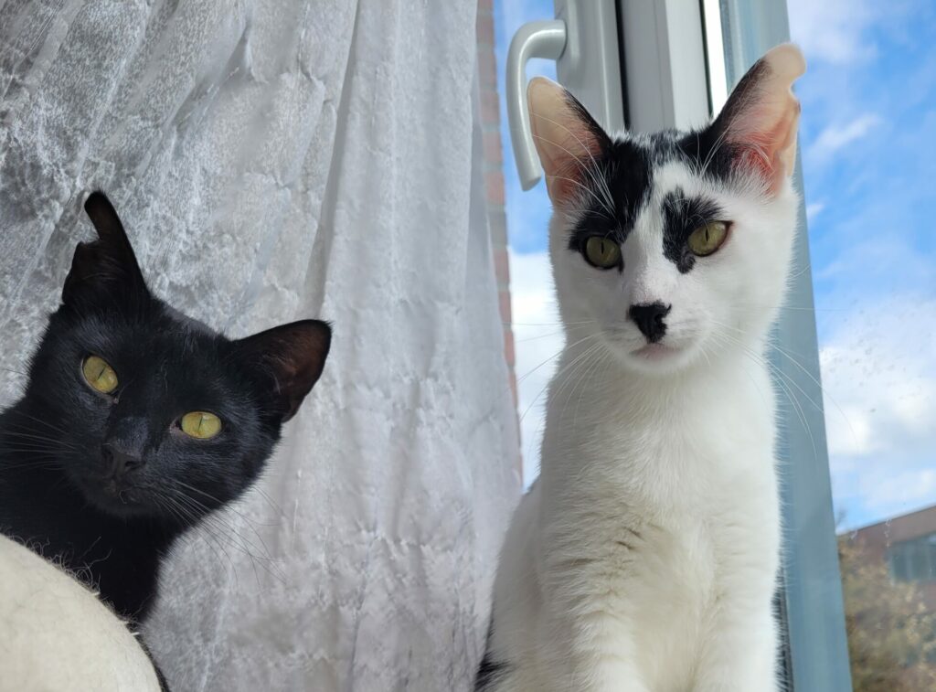 Maisy en Sonny
