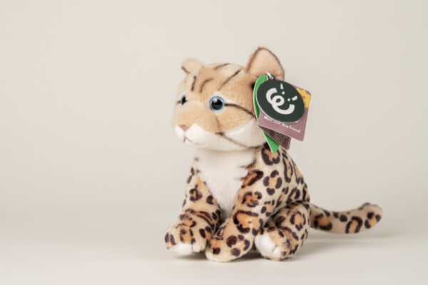 bengalen kitten knuffel van Living nature steun Stichting Scheldekat