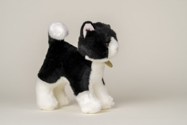 zwartwit knuffel kat klein
