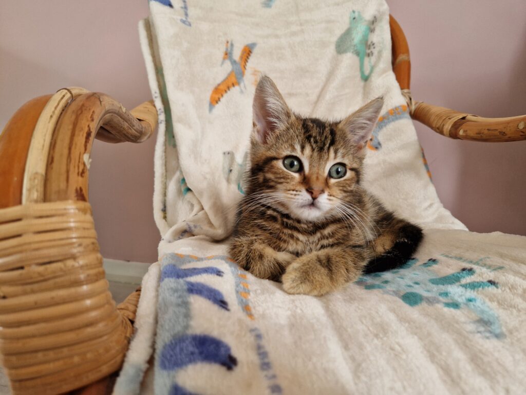 Nora en Fleur