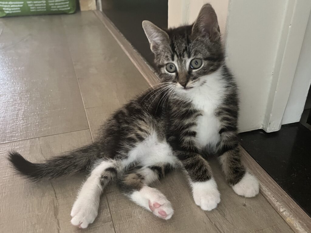 Tiffie en Charly