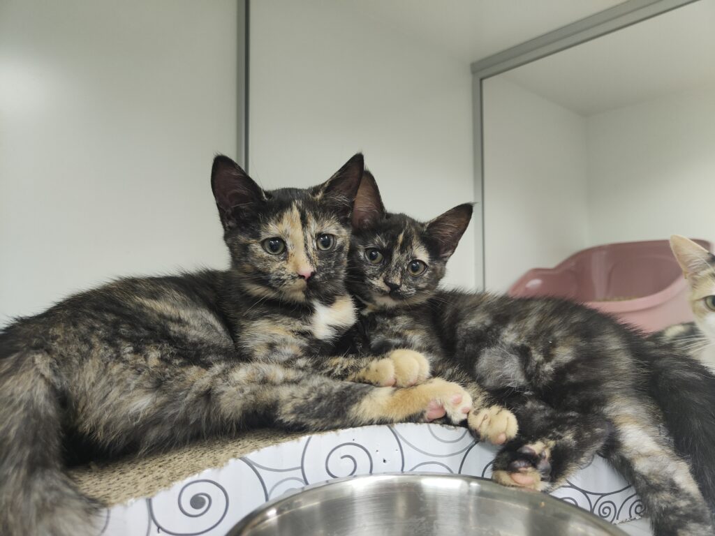 Pia en Nina