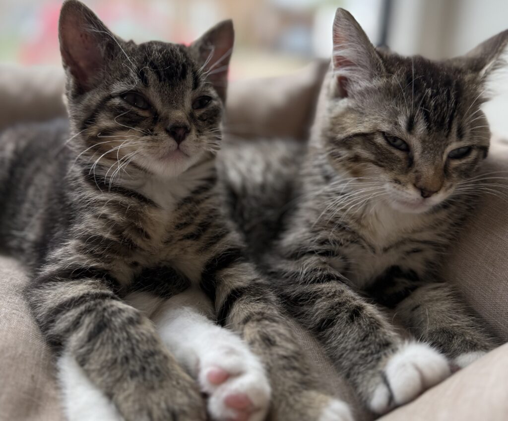 Meisje en Bram