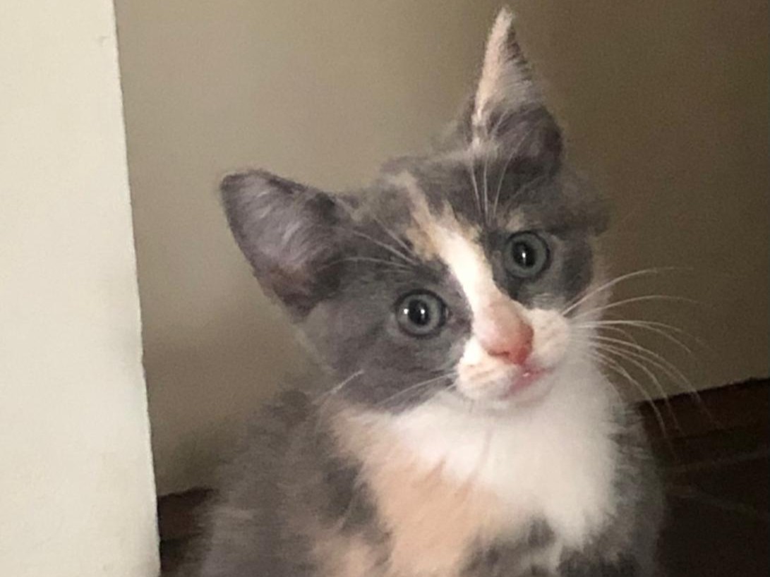 Beatriz Bonnie Jona Robbie Ronnie Arthur Niek (2)