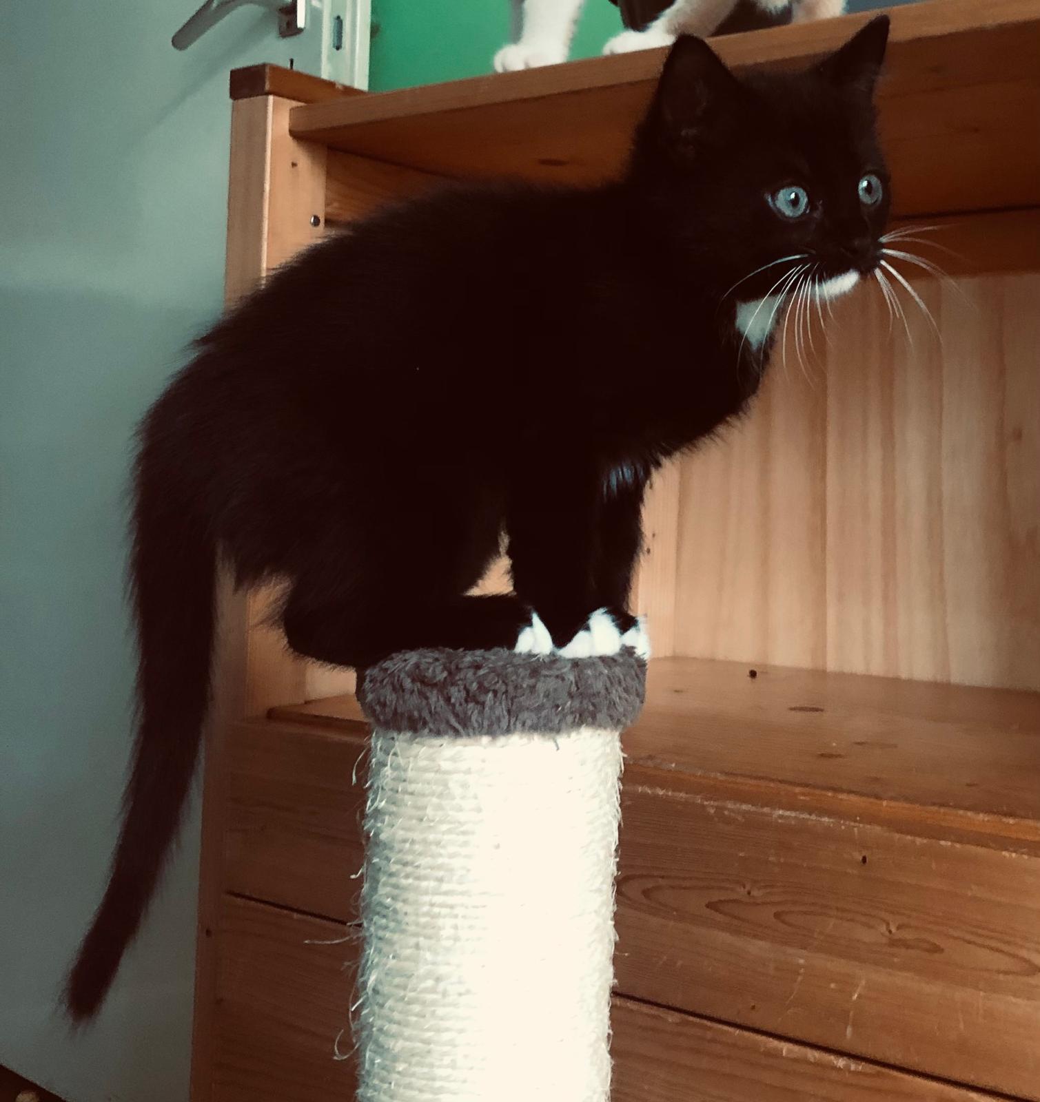 Beatriz Bonnie Jona Robbie Ronnie Arthur Niek (3)