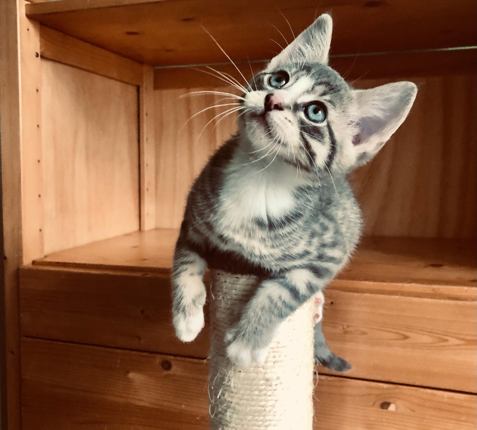 Beatriz Bonnie Jona Robbie Ronnie Arthur Niek (5)