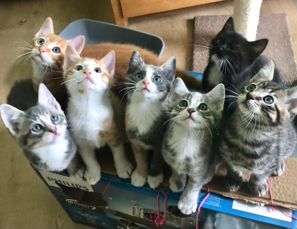 Beatriz, Bonnie, Jona, Robbie, Ronnie, Niek en Arthur