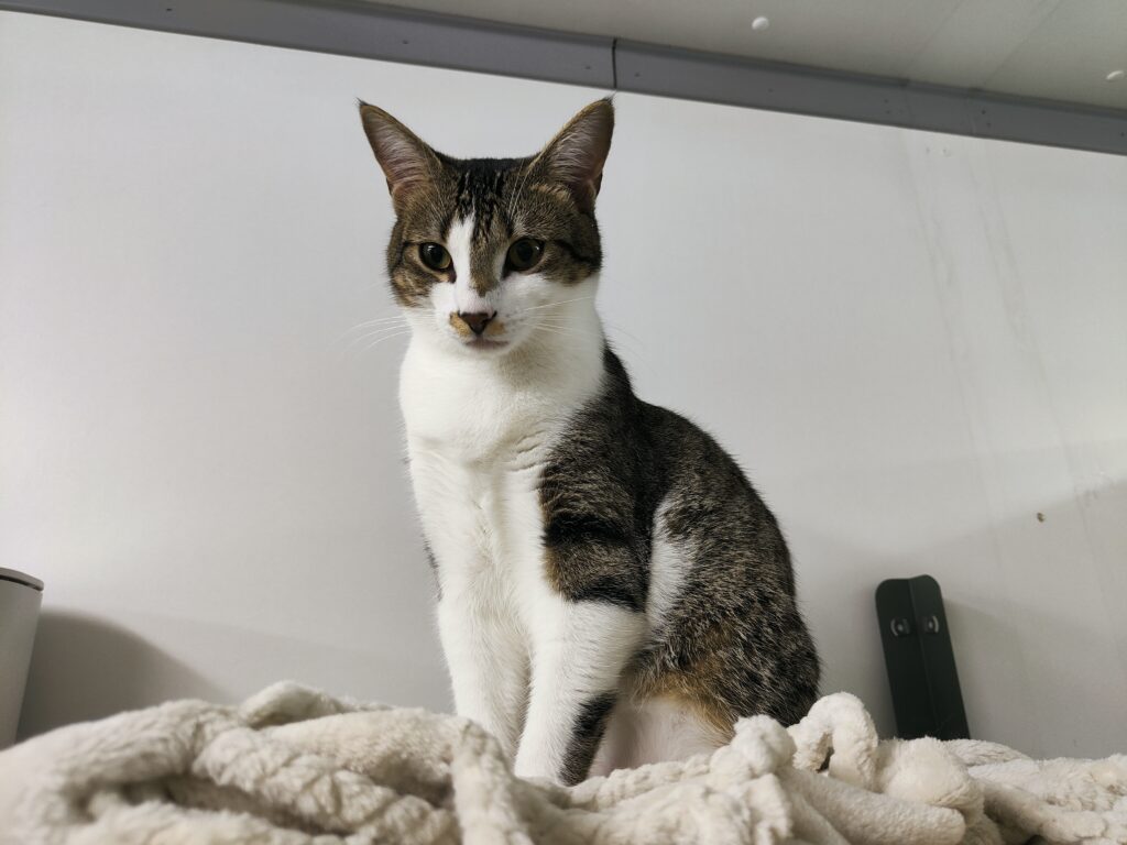 Luca en Kali