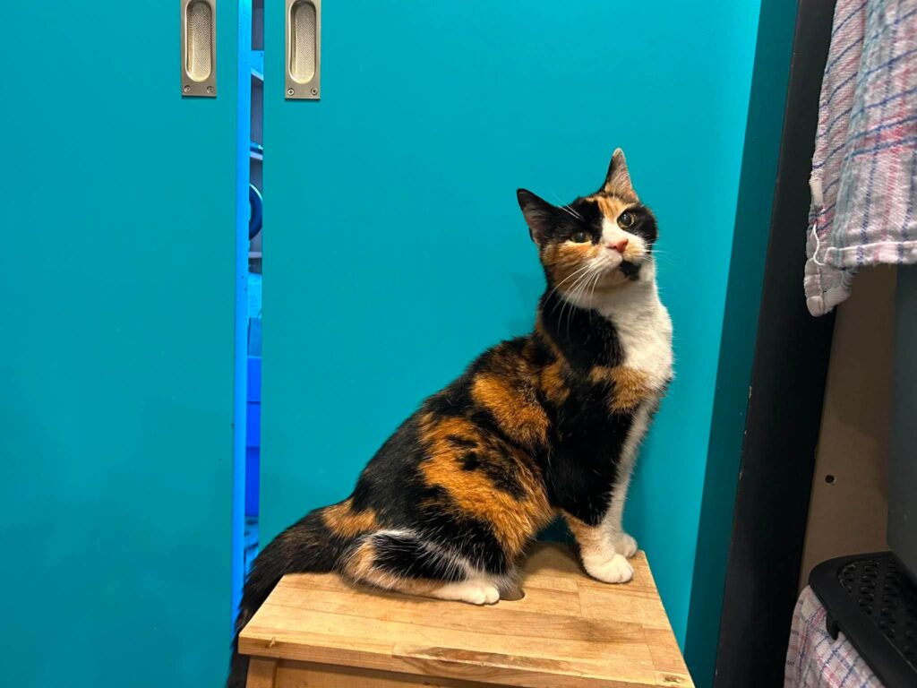 Marie
